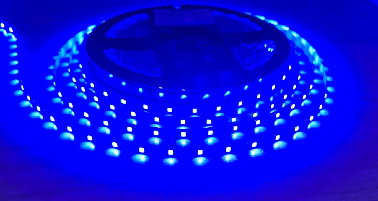 LED-ECO-ZZ-BL-42D-20M-2835 Blue - Flexible - Eco - 20MTR - 42D/M - DC 12V - 8.6 W/M -2835 (Economy) - Image 1