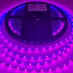 Pink - Flexible - 20MTR - 42D/M - DC 12V - 8.6 W/M -2835